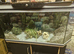 4ft fishtank and stand