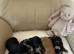 cockapoo puppies