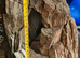 Fibre class caves