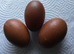 FRENCH SILVER BLACK MARAN HATCHING EGGS