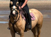 *** BOOKED FOR BRECON SALE***