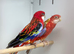 Rosella