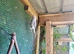 Proven pair of Ringnecks