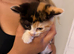 Kittens ready to leave