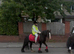 For sale Pamela & Samantha best pony in world