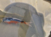 High grade koi carp 6-8inches £12.50 -£25