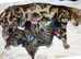 Pure pedigree bengal kittens
