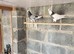 Iranian pigeons