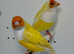 Yellow Gouldian finches for sale