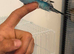 Hand Tame Baby Budgies Steps Up