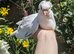 Hand reared fancy young pigeons!