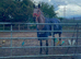 Appaloosa mare 15.2
