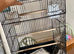 Beautiful brand new cage ideal for budgies