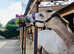 Boutique Livery yard Nestled on a private estate within the Cotswolds