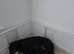 Rottweiler pup for sale