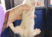 Kits