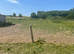 Field barn yard