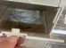 Breeding pair cockatiels and female