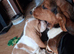 KC Reg basset hound puppy