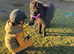Perfect Therapy/Show/Companion Mini Shetland Gelding