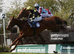 13 yr old thoroughbred mare. ROR eligible Ex race horse/brood mare