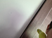 Parrotlet in Batley