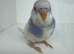Beautiful baby budgies for sale