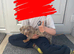 Isabella and tan dachshund for sale