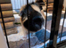 WANTED Young Male Guinea Pig or Spayed Female