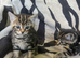 Kittens looking for their forever homes