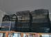 Bird cage x3