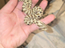 Western hognose snake