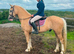 Stunning filly