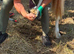 6 year old mare called willow.