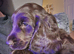 Last female 9 weeks old Cockapoo
