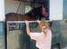 Registered Welsh filly to make 15hh