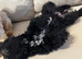 Last f1b toy cockapoo female 3months old