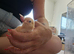 1 day old mixed breed chicks