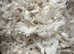TEABAG BEDDING/PET BEDDING/ TISSUE BEDDING,