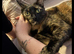 Rosie, Rehoming