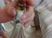 goldfinch mule