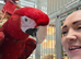 Beautiful silly tame greening macaw female