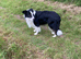 Really Beautiful Four Yr Old Male