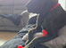 Cane corso cross