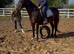 15hh ,15yr old school mistress