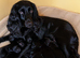 Cocker spaniel
