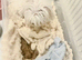 Luxury & Tiny Maltipoo Spring puppy&rsquo;s