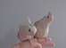 Hand reared silly tame DNA sexed baby cockatiels