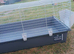 Guinea cage, hygiene & other stuff