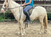 8yo 12.2hh ride and drive pony